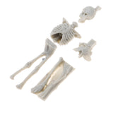 Unassembly Unpainted Kit 1/35 Resin Skull Skeleton Models for Diorama Scene