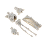 Unassembly Unpainted Kit 1/35 Resin Skull Skeleton Models for Diorama Scene
