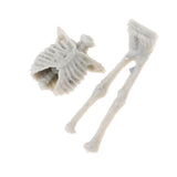 Unassembly Unpainted Kit 1/35 Resin Skull Skeleton Models for Diorama Scene