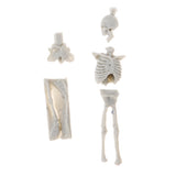 Unassembly Unpainted Kit 1/35 Resin Skull Skeleton Models for Diorama Scene