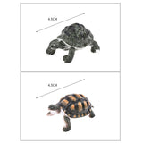 Maxbell Maxbell Simulated Toys Tricky Toys Kids Educational Model Toys Gifts Tortoise