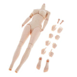 1/6 Female Seamless Body Big Bust Sculpt for 12inch Action Figure Body x4