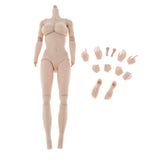 1/6 Female Seamless Body Big Bust Sculpt for 12inch Action Figure Body x4