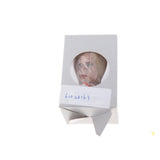 Maxbell 1/6 Female Head Carved Sculpt with Hair for 12inch Action Figure Body Part B