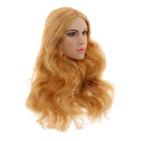 Maxbell 1/6 Female Soldier Head Carving Toy Head Sculpture w/ Hair for Hot Toys  C