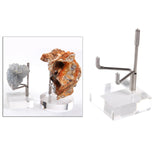 Maxbell 2x Durable Acrylic Display Stand Holder Suport for Minerals Geode Crystal