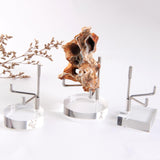 Maxbell 8x Durable Acrylic Display Stand Holder Suport for Minerals Geode Crystal