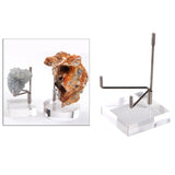 Maxbell 8x Durable Acrylic Display Stand Holder Suport for Minerals Geode Crystal
