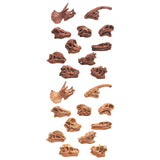 Maxbell 20x Vivid Dinosaur Skull Model Dinosaur Decor Desktop Display Decorative
