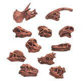 Maxbell 20x Vivid Dinosaur Skull Model Dinosaur Decor Desktop Display Decorative