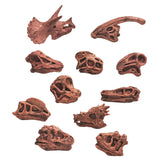 Maxbell 20x Vivid Dinosaur Skull Model Dinosaur Decor Desktop Display Decorative
