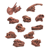 Maxbell 20x Vivid Dinosaur Skull Model Dinosaur Decor Desktop Display Decorative