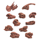 Maxbell 20x Vivid Dinosaur Skull Model Dinosaur Decor Desktop Display Decorative