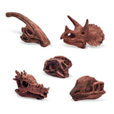 Maxbell 20x Vivid Dinosaur Skull Model Dinosaur Decor Desktop Display Decorative
