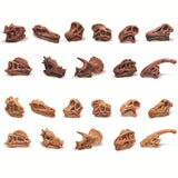 Maxbell 20x Vivid Dinosaur Skull Model Dinosaur Decor Desktop Display Decorative