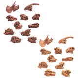 Maxbell 20x Vivid Dinosaur Skull Model Dinosaur Decor Desktop Display Decorative
