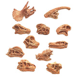 Maxbell 20x Vivid Dinosaur Skull Model Dinosaur Decor Desktop Display Decorative