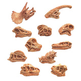 Maxbell 20x Vivid Dinosaur Skull Model Dinosaur Decor Desktop Display Decorative