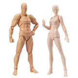 Maxbell Drawing Action Figure Model DIY Doll Joint Movable for Sketching Male