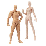 Maxbell Drawing Action Figure Model DIY Doll Joint Movable for Sketching Male