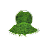 Maxbell Artificial Grass Debris for Railway Layout Layout Props Miniatures Landscape dark green