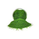 Maxbell Artificial Grass Debris for Railway Layout Layout Props Miniatures Landscape dark green