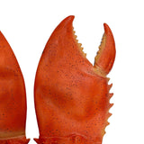 Maxbell 2x2x Lobster Claw Gloves Latex Crab Pliers Gloves for Role Playing Stage Party