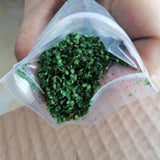 Maxbell 6xRealistic Miniature Leaves Simulation Leaves for Train DIY Mini Model Layout Red