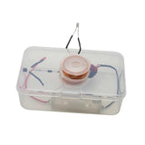 Maxbell 2xElectricity Experiment Classroom Students Science Experiment Electricity Kits
