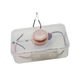 Maxbell 6xElectricity Experiment Classroom Students Science Experiment Electricity Kits
