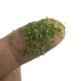 Maxbell Realistic Miniature Leaves 50ml for Model Railway Garden Bonsai Building Kit green