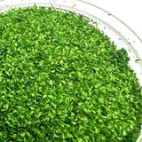 Maxbell Realistic Miniature Leaves 50ml for Model Railway Garden Bonsai Building Kit green