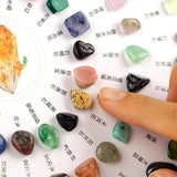 Maxbell Mineral Rock Mineral Stones Collection for Boy Friend Birthday Gift