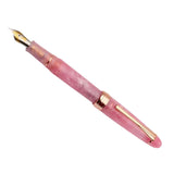 Maxbell Piston Fountain Pen Ef0.5mm Acrylic Piston Filling Pen for Signatures Writing pink