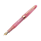 Maxbell Piston Fountain Pen Ef0.5mm Acrylic Piston Filling Pen for Signatures Writing pink