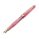 Maxbell Piston Fountain Pen Ef0.5mm Acrylic Piston Filling Pen for Signatures Writing pink