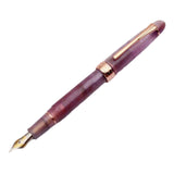 Maxbell Piston Fountain Pen Ef0.5mm Acrylic Piston Filling Pen for Signatures Writing purple