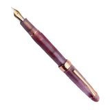 Maxbell Piston Fountain Pen Ef0.5mm Acrylic Piston Filling Pen for Signatures Writing purple