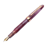 Maxbell Piston Fountain Pen Ef0.5mm Acrylic Piston Filling Pen for Signatures Writing purple