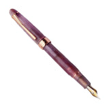Maxbell Piston Fountain Pen Ef0.5mm Acrylic Piston Filling Pen for Signatures Writing purple