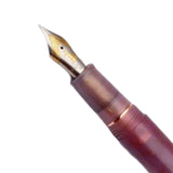 Maxbell Piston Fountain Pen Ef0.5mm Acrylic Piston Filling Pen for Signatures Writing purple