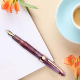 Maxbell Piston Fountain Pen Ef0.5mm Acrylic Piston Filling Pen for Signatures Writing purple