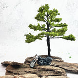 Maxbell DIY Scene Materials Diorama Kits Scenery Landscape Realistic Mini Wood Model 10Pcs