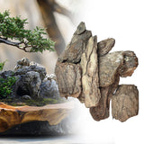 Maxbell DIY Scene Materials Diorama Kits Scenery Landscape Realistic Mini Wood Model 10Pcs