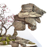 Maxbell DIY Scene Materials Diorama Kits Scenery Landscape Realistic Mini Wood Model 10Pcs