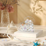 Maxbell Magnetic Seashell Box Clear Seashell Storage Box for Nail Trinket Bead Charm