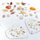 Maxbell Magnetic Seashell Box Clear Seashell Storage Box for Nail Trinket Bead Charm