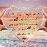 Maxbell Magnetic Seashell Box Clear Seashell Storage Box for Nail Trinket Bead Charm