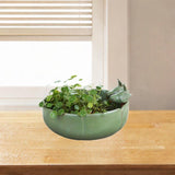 Maxbell Flower Pot Bonsai Pot Bamboo Tray 10 inch Large Planter Home Small Ornaments