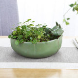 Maxbell Flower Pot Bonsai Pot Bamboo Tray 10 inch Large Planter Home Small Ornaments